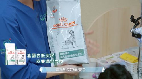 皇家寵物食品與《寵物醫(yī)生2》攜手 守護(hù)毛孩健康，以專業(yè)與關(guān)愛治愈回歸